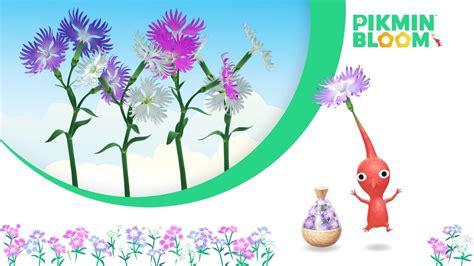 Pikmin Bloom Detalla Sus Planes Para Septiembre De Nintenderos