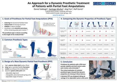 Pdf An Approach For A Dynamic Prosthetic Treatment Of Patients With Partial Foot Amputations