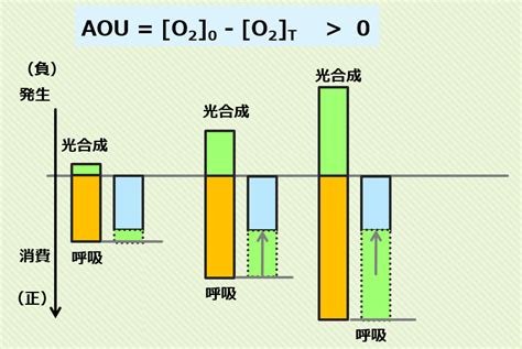 コース Elms 10 Lasbos Moodle