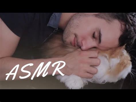 Asmr Moments C Lins Avec Mon Chat Massage Crinkles Brushing The