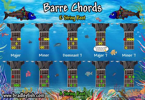 Barre Chords!! - Bradley Fish