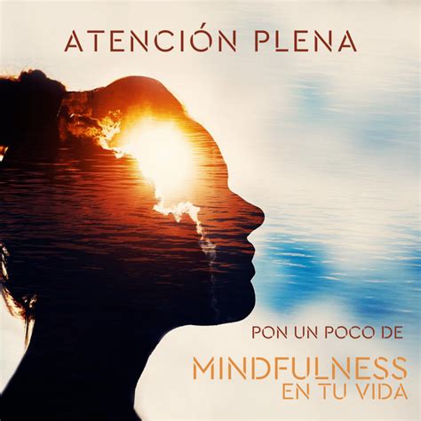 Descubre Los 12 Beneficios Del Mindfulness Ricamente