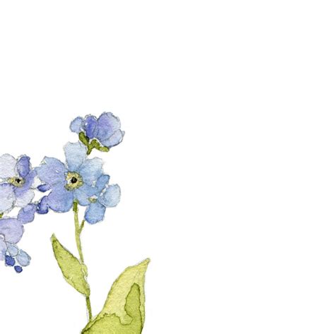 Forget Me Nots Watercolor Art Print Etsy