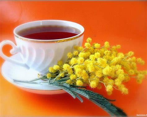 Pin by Светлана Коршунова on ОБОИ | Coffee breakfast, Tableware ...