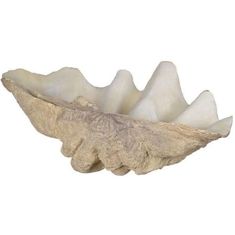 Faux Clam Shell Clam Shell Shell Sculpture Shells