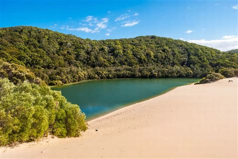 Incredible Things To See And Do On Fraser Island In Australia