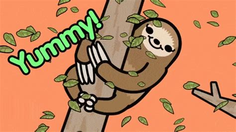 Sloth Food GIFs - Find & Share on GIPHY