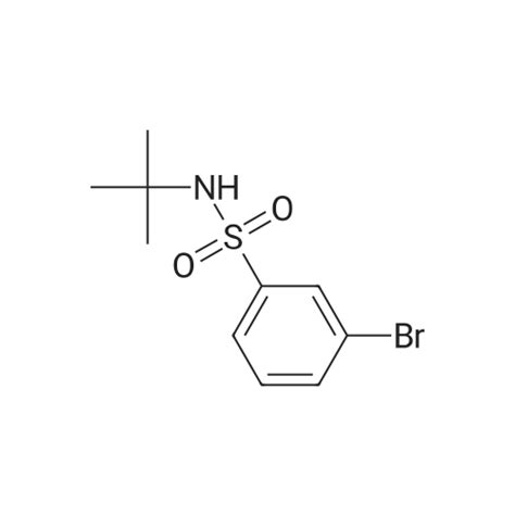 308283 47 8 3 Bromo N Tert Butyl Benzenesulfonamide Ambeed