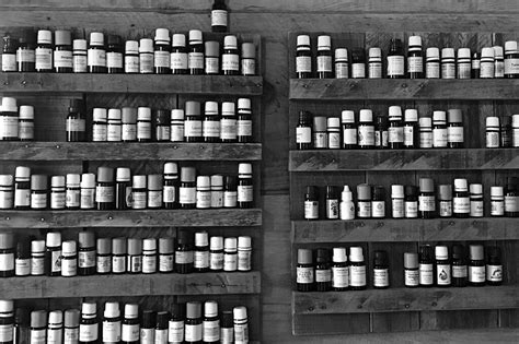 Advanced Courses | The School of Aromatic Studies 