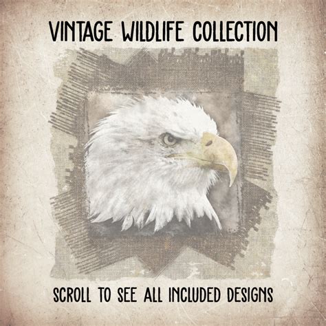 Vintage Wildlife Collection | DIGITAL DESIGN