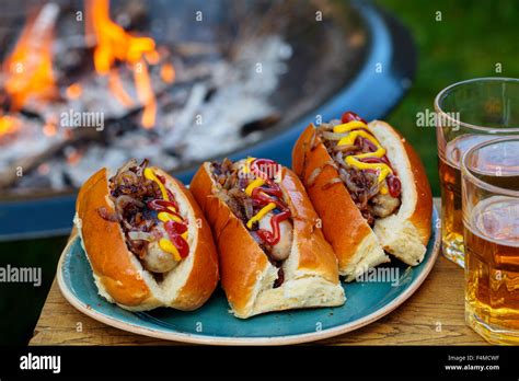 Hot Dog Chiens Hot Dog Hot Dogs Saucisse Bun Banque De Photographies Et