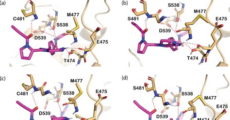Covalent Modifiers: Molecular Insights into the Impact of Mutations on ... 
