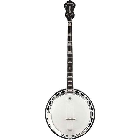 How To Identify Fender Banjo Model A Step By Step Guide