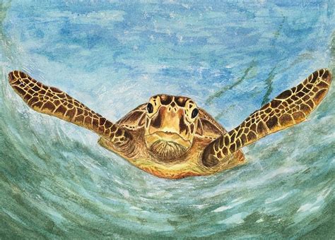 Sea Turtle Painting By Erica Potts Fine Art America