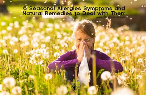 6 Seasonal Allergies Symptoms And Natural Remedies To Deal With Them