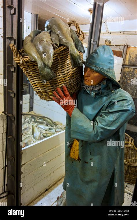 Pescador Vistiendo Sou Wester En La Bodega De Pescado De La Ltima