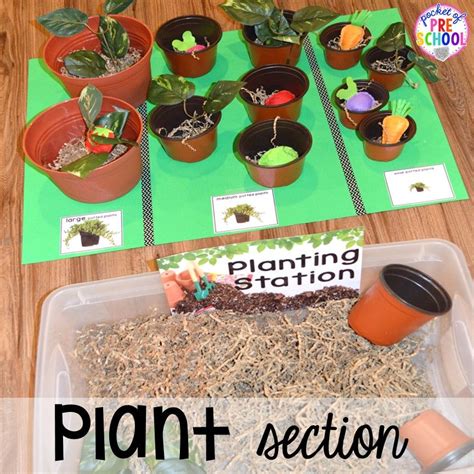 Flower And Garden Shop Dramatic Play Pocket Of Preschool