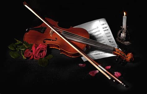 Violin Roses Wallpapers Top Free Violin Roses Backgrounds