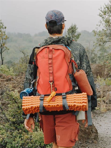 Sac Dos Cabine Avion Les Meilleurs Sacs Dos De Voyage R