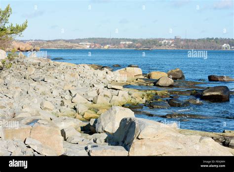 Granite Boulders Rocks And Some Trees In The Swedish Shoreline Of The