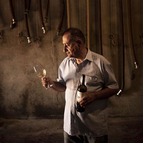 Celler Vila Corona Carta De Vins De L Alt Pirineu