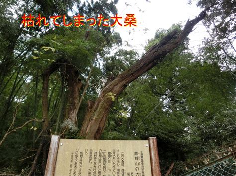 鹿野山神野寺の虎騒動から何年経ったでしょうか？・九十九谷展望台・久原寺の千体地蔵尊 西村治彦の日記