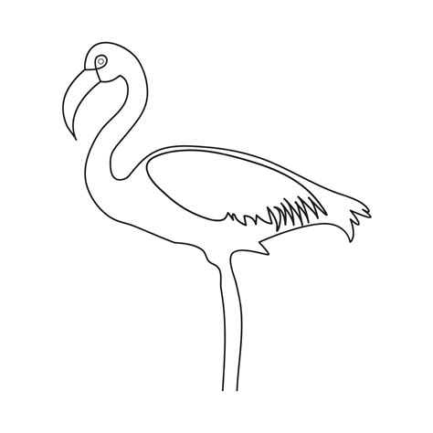 Premium Vector Continuous One Line Drawing Of Flamingo Outline Vector