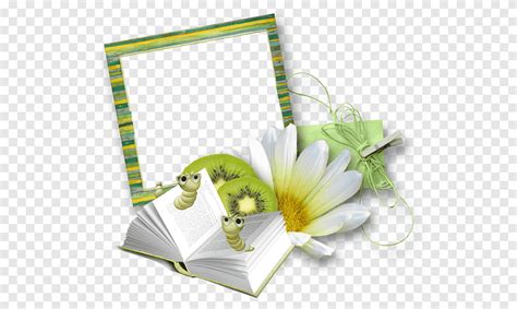 Livre De Cadres Montage De Collage Arrangement De Fleurs Texte Png