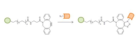 DBCO PEG Heparin 二苯并环辛炔 聚乙二醇 肝素 哔哩哔哩