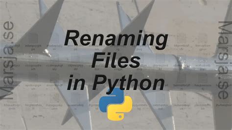 Rename Files In Python A Guide With Examples Using Os Rename