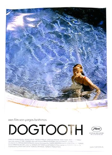 Dogtooth poster - Cine Qua Non independent filmshop