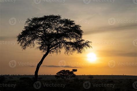 Sunrise at Murchison Falls National Park, Uganda 11979312 Stock Photo at Vecteezy