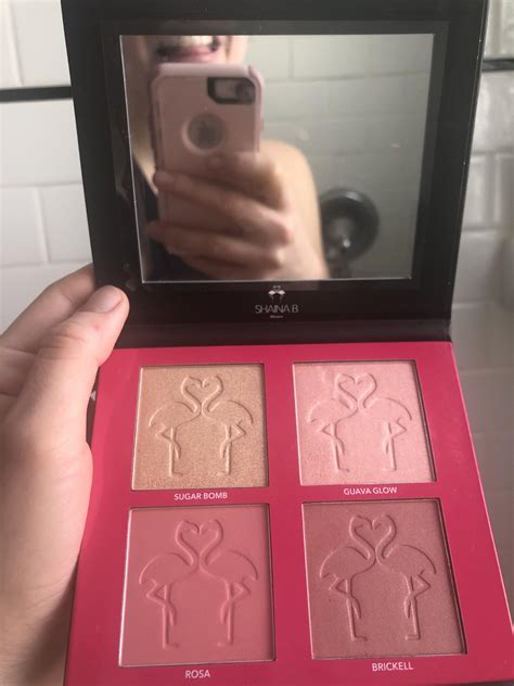 Shaina B Miami Blush Palette : r/cleanmakeup