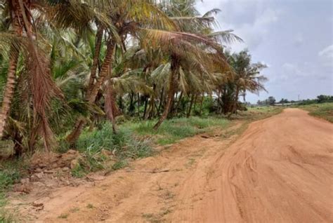 Jacqueville Annonce immobilière en Côte d Ivoire Abidjan Bouaké