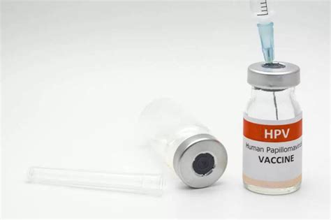 Portal Do Médico O Hpv E A Vacinação A Importância Do Reforço Da Informação