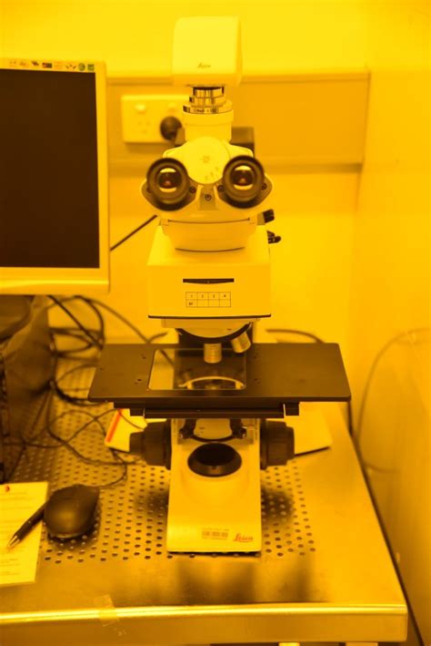 Zeiss Lsm 710 Confocal Laser Scanning Microscope Australian National