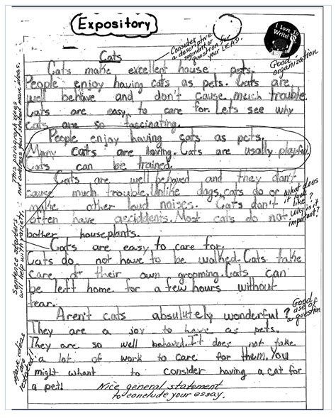 Essays To Do For Fourth Graders 4