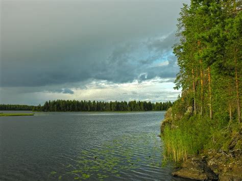 Pine Trees On The Granite Shore Of The Polar Lake Stock Photo Image