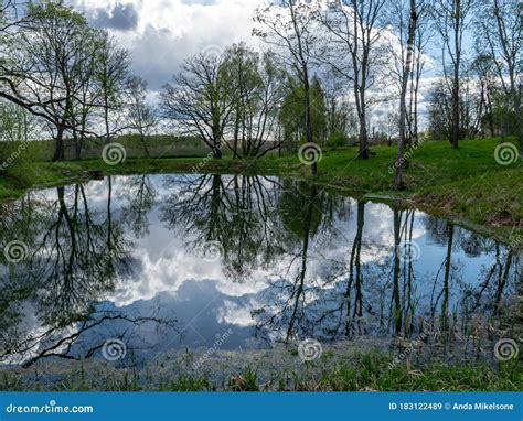 Spring Landscape With Tree Silhouettes Green Grass And A Small Pond