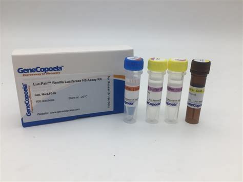 Luc Pair Renilla Luciferase Hs Assay Kit Igenebio