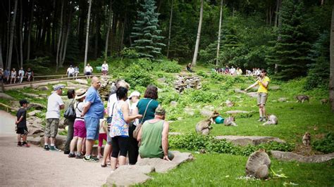 La Montagne Des Singes Visit Alsace