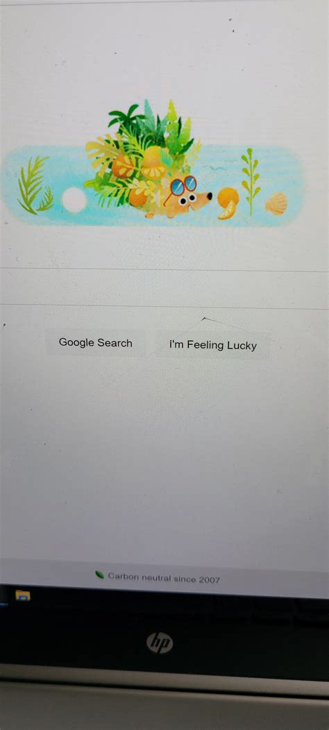 Google's summer solstice banner!!!!! : r/Hedgehog