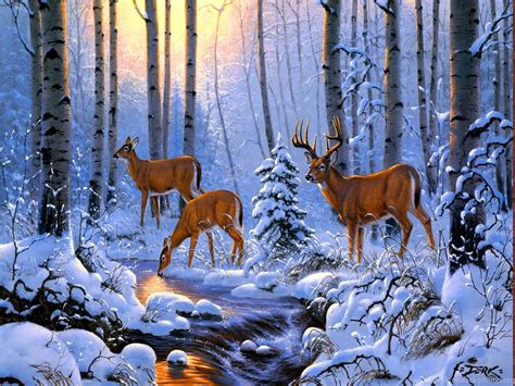 Winter Forest Scenery Wallpapers - Wallpaper Cave