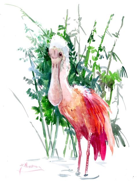 Roseate Spoonbill Watercolour By Suren Nersisyan Artfinder