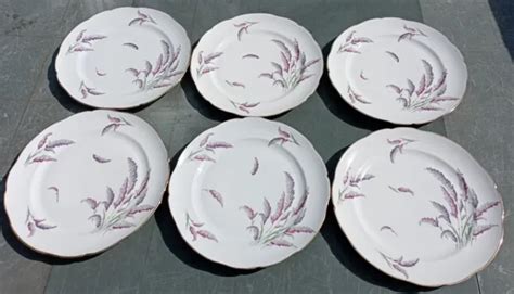 Assiettes Plates En Porcelaine De Limoges Chapus Fils Decor