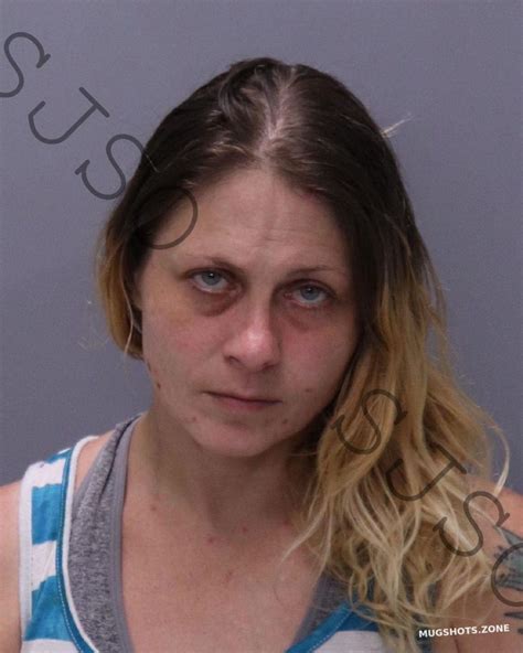 CHAVIS TAMMY RENEE 09 25 2023 St Johns County Mugshots Zone