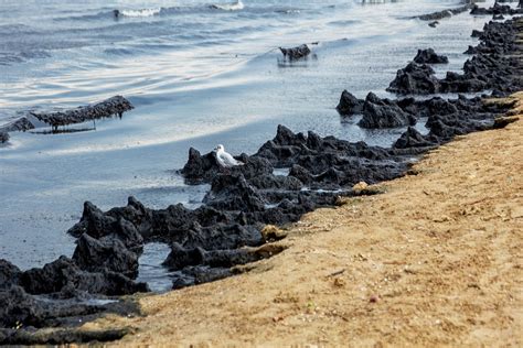 Deepwater Horizon oil spill still detectable - Inside Water