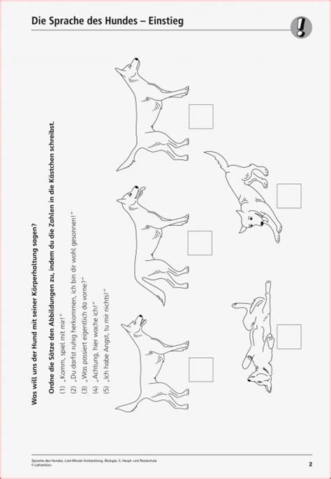 Größte Biologie 5 Klasse Gymnasium Hund Arbeitsblätter 2022 Update