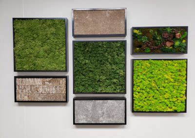 Moss Walls Phillip S Interior Plants Displays Chicago Il