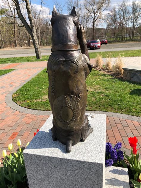 Sergeant Stubby Statue – Middletown, Connecticut - Atlas Obscura